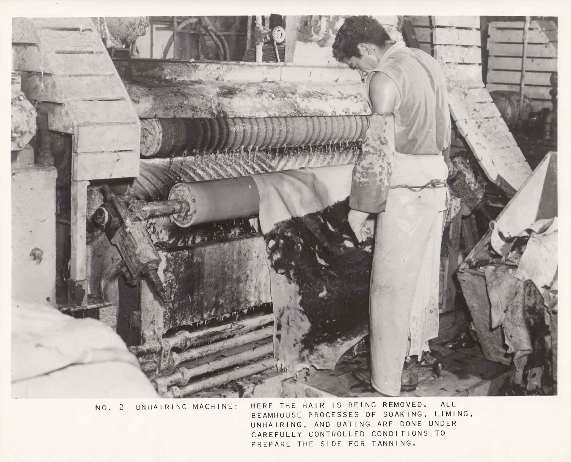 Unhairing machine for hides