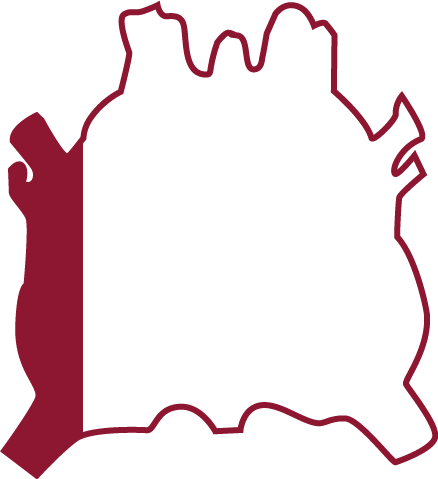 Belly Hide Part Illustration