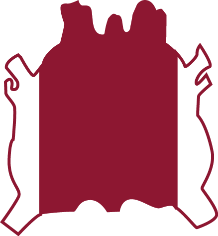 Double Back Hide Part Illustration