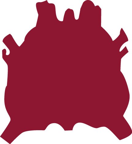 Full Hide Part Illustration