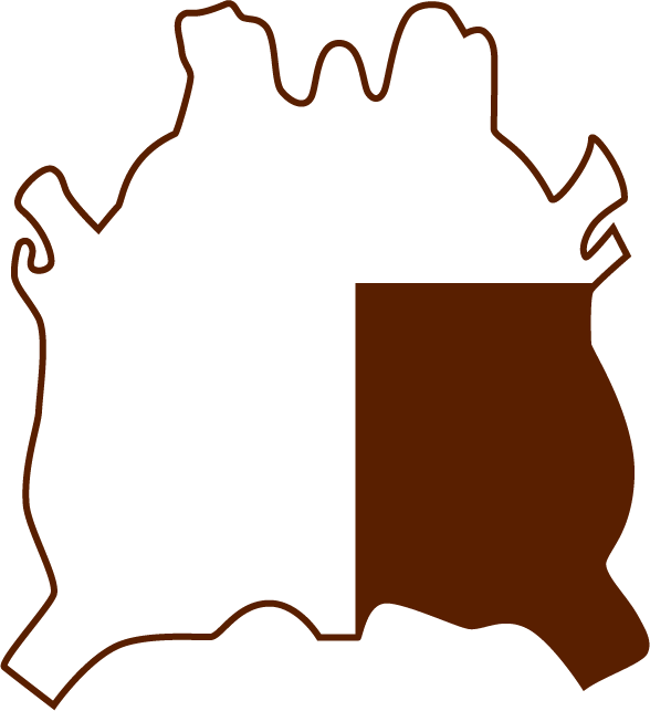 Culatta Hide Part Illustration