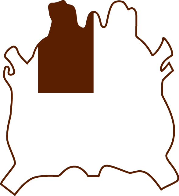 Single SHoulder Hide Part Illustration